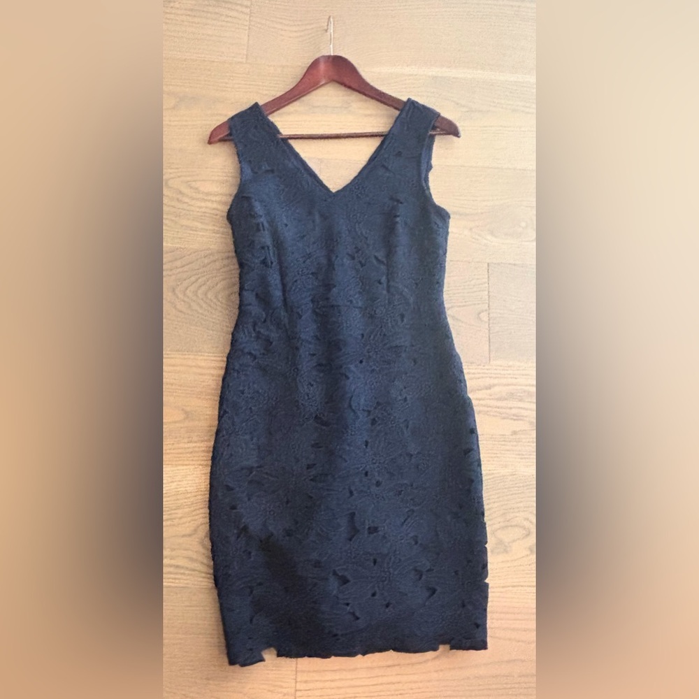 Banana Republic Midnight Blue Lace Mini Dress